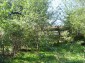 a garden