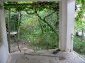 Trellis vine