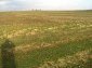 Lands for sale near Yambol