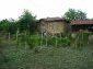 The house and the garden