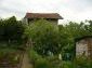 The garden