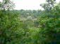 The nature