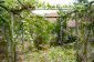 A garden