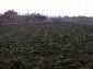 Lands for sale near Yambol