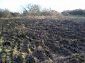 Lands for sale near Yambol