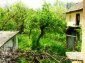 The garden 