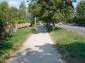 The road