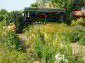 The flowerbeds