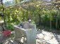 The garden