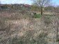 Garden 1