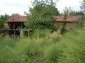 The yard
