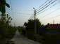 The road