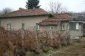 The garden