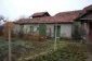 The yard