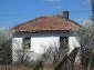 The house