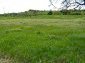 The land