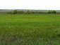 Lands for sale near Yambol