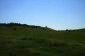 The land