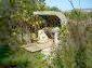 The garden