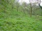 A plot of land