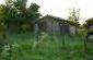 The garden