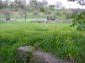 A plot of land