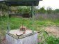 The well in the garden