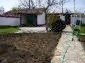 A garden 2