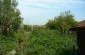 The garden