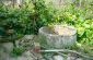The well