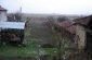 The yard
