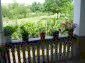 The veranda