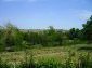 Around the property