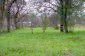 The piece of land