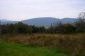 The land