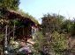 Part of the garden