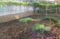 A garden