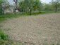 The yard