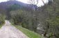 A road