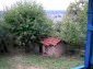The garden