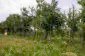 The land