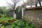 A garden