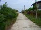 The road