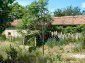 The garden