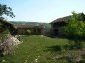 the garden