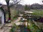 The garden