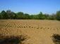 the land