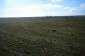 The land