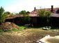The garden