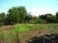 The yard